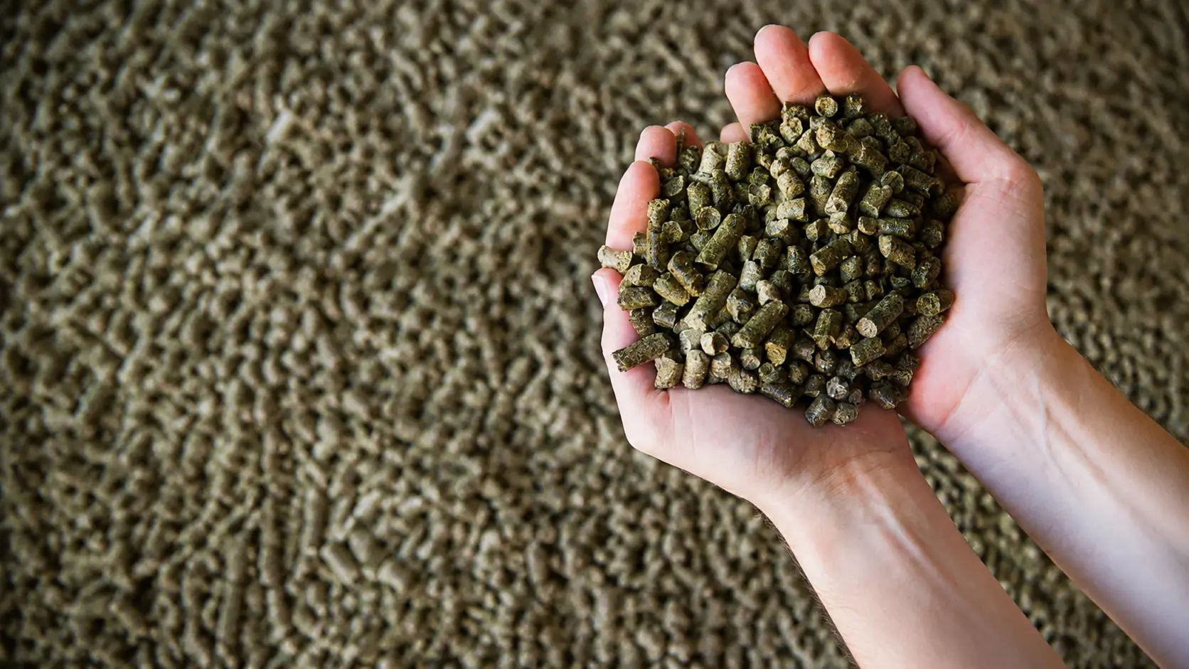 Animal Feed and Fertilizer