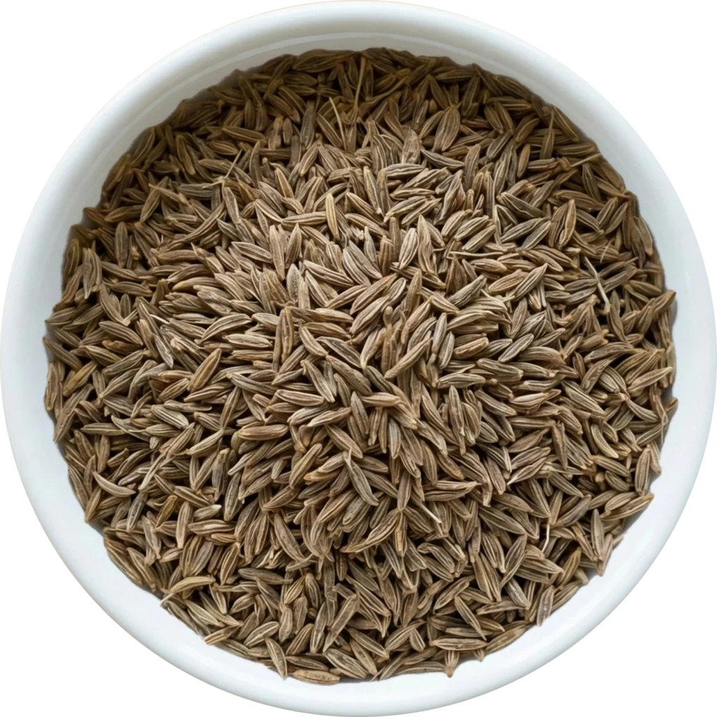 Cumin Seed