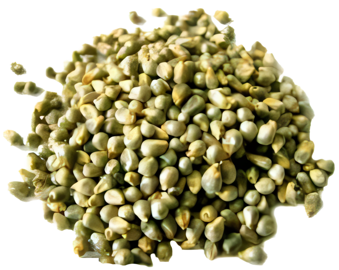 Millet