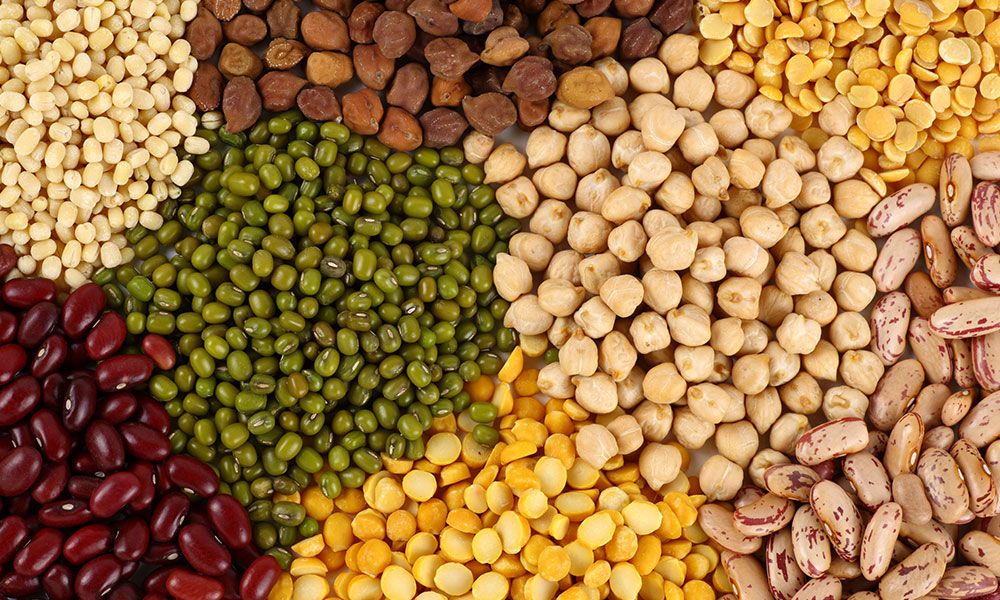 Premium Dal & Pulses